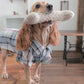 Fun Accessories to Sew for Your Dog -Makeify Marketplace